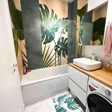 Apartment Cozy Studio Bucharest